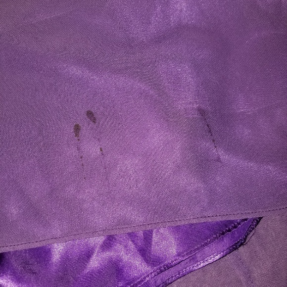 Prom Bridesmaids Mardis Gras dress - Picture 6 of 6